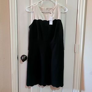 Loft, two-tone dress, size 2P